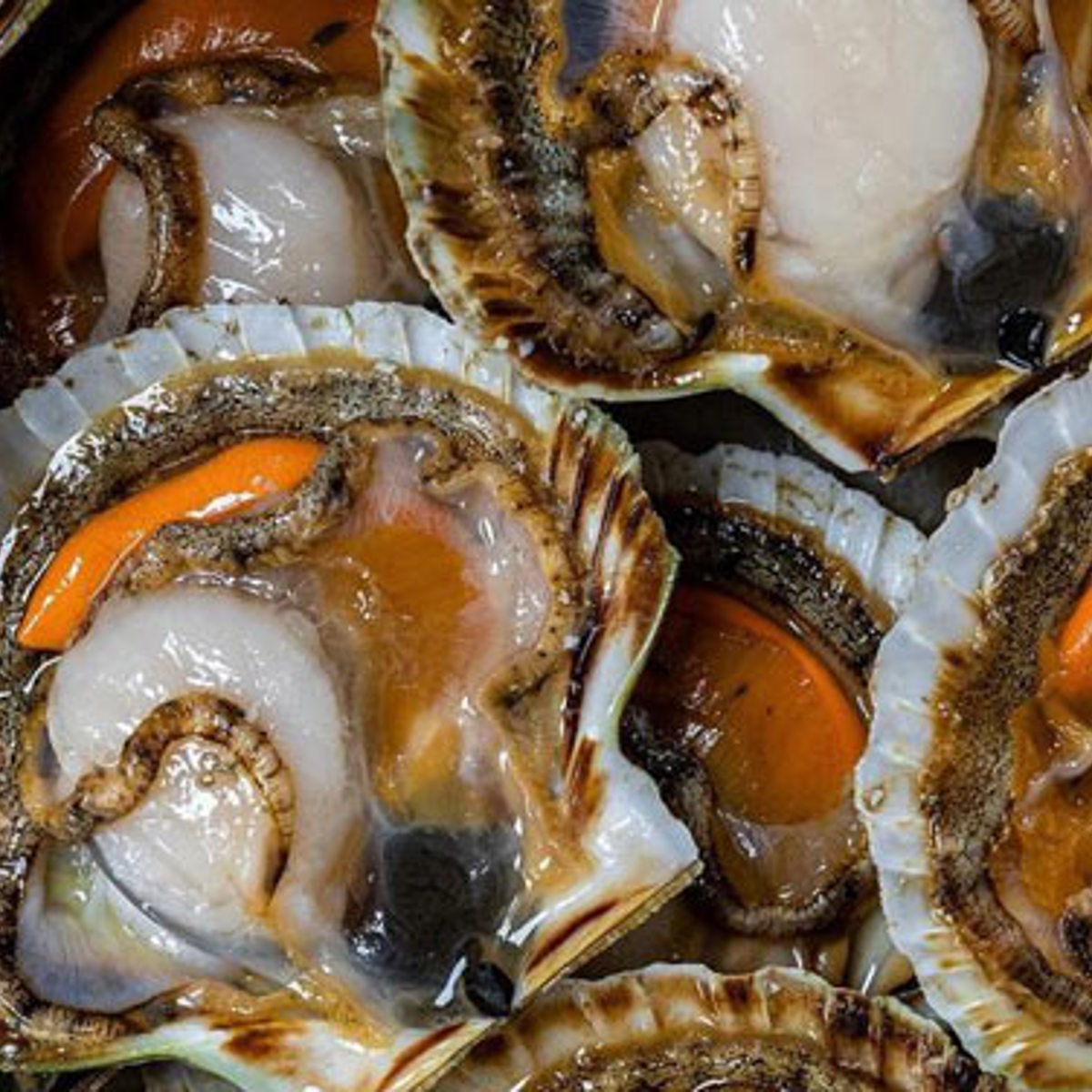 Nettle Scallop | Recipes | Corrigan's Mayfair